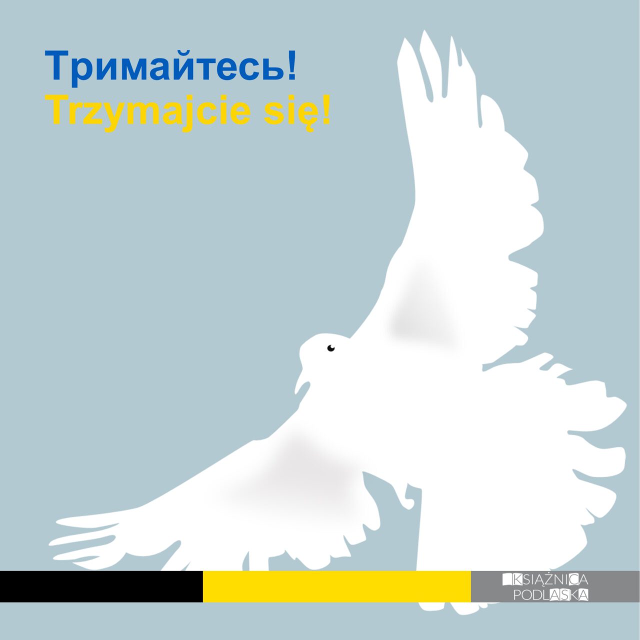 Ilustracja do artykułu Solidarni z Ukrainą