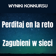 Grafika przedstawia nocne niebo pełne gwiazd w odcieniach granatu i zieleni. Na górze znajduje się napis w języku polskim: „WYNIKI KONKURSU” w białej, pogrubionej czcionce. Poniżej, na tle gwiaździstego nieba, widnieją dwa duże napisy:

w języku esperanto: „Perditaj en la reto”
w języku polskim: „Zagubieni w sieci”

Całość ma charakter informacyjny, promujący wyniki konkursu literackiego o temacie „Zagubieni w sieci” / „Perditaj en la reto”.